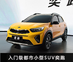 入门级都市小型SUV奕跑