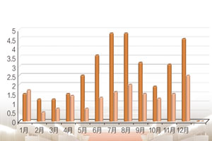 上半年全国家具采购额逾12亿 同比增一倍